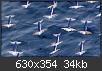 Hacer clic en la imagen para la versin completa

Nombre:  calamares.jpg
Vistas: 472
Tamao:  33,5 KB (Kilobytes)
ID: 2736