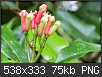 Hacer clic en la imagen para la versin completa

Nombre:  clavo-planta.png
Vistas: 65
Tamao:  74,8 KB (Kilobytes)
ID: 4595