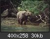 Hacer clic en la imagen para la versin completa

Nombre:  Rinoceronte-de-Java.jpg
Vistas: 69
Tamao:  29,9 KB (Kilobytes)
ID: 4803