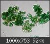Hacer clic en la imagen para la versin completa

Nombre:  alga.jpg
Vistas: 223
Tamao:  92,4 KB (Kilobytes)
ID: 4957