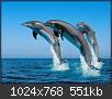 Hacer clic en la imagen para la versin completa

Nombre:  jumpin-dolphins.jpg
Vistas: 303
Tamao:  551,4 KB (Kilobytes)
ID: 772