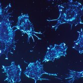 Publican el mayor mapa genético del cáncer