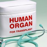 Primer paso para desarrollar órganos humanos
