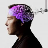 Elon musk busca voluntarios para implantarse chips en el cerebro