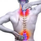 Científicos de EE.UU. "reparan" la espina dorsal