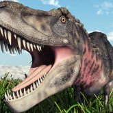 Habrá un dinosaurio vivo en 5 años