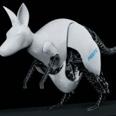 Animales sustituidos por réplicas artificiales