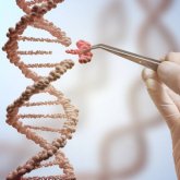 EEUU autoriza la manipulación genética en humanos - CRISPR