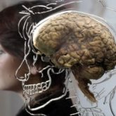 Consiguen leer datos del cerebro humano