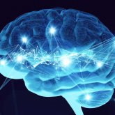 Descubrimientos del cerebro - Diferencias entre real / imaginado