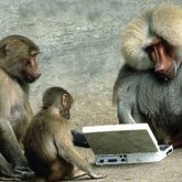 Monos controlan videojuego mentalmente