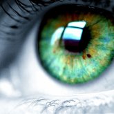 Nueva retina biónica que cura la ceguera