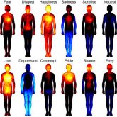 Mapas de distribución de las emociones humanas