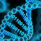 Almacenan información en ADN, como disco duro